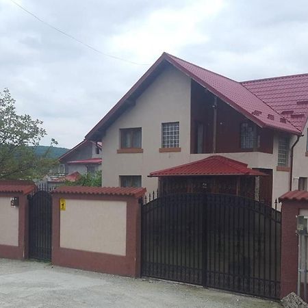 Vila De Vacanta Curtea de Argeş Dış mekan fotoğraf