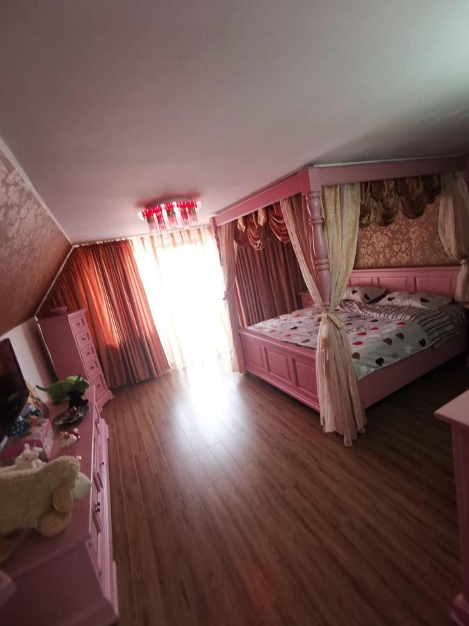 Vila De Vacanta Curtea de Argeş Dış mekan fotoğraf