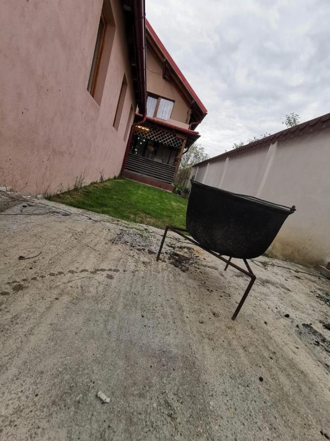 Vila De Vacanta Curtea de Argeş Dış mekan fotoğraf