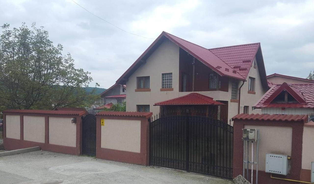 Vila De Vacanta Curtea de Argeş Dış mekan fotoğraf